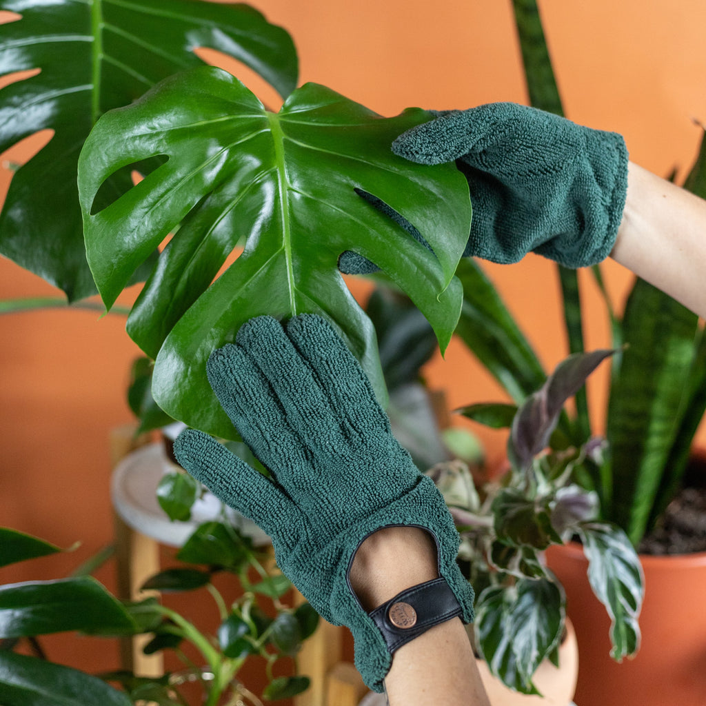 We The Wild "Leaf Care Duo Kit"