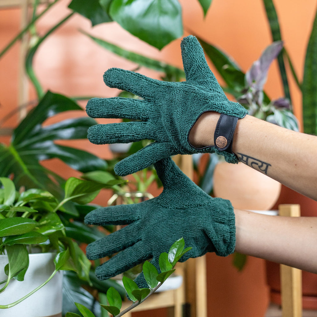 We The Wild "Leaf Care Duo Kit"