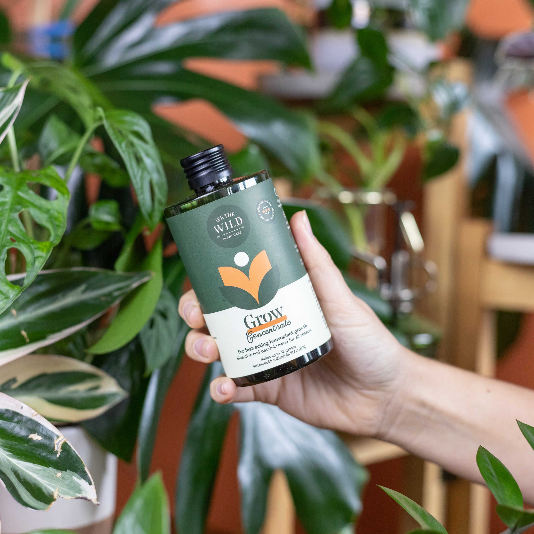 We The Wild "Proud Plant Parent Kit"