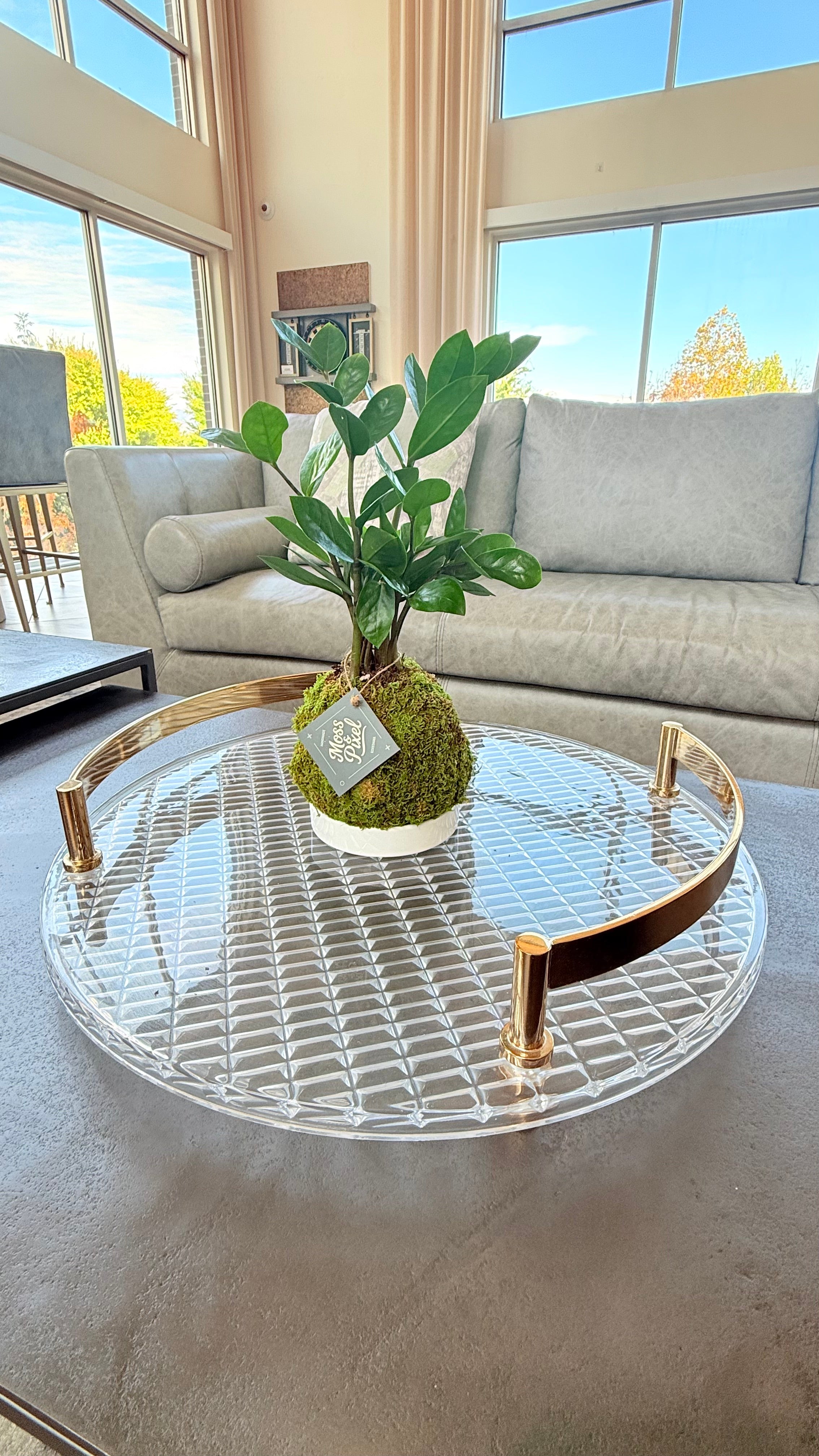 Air Purifiers