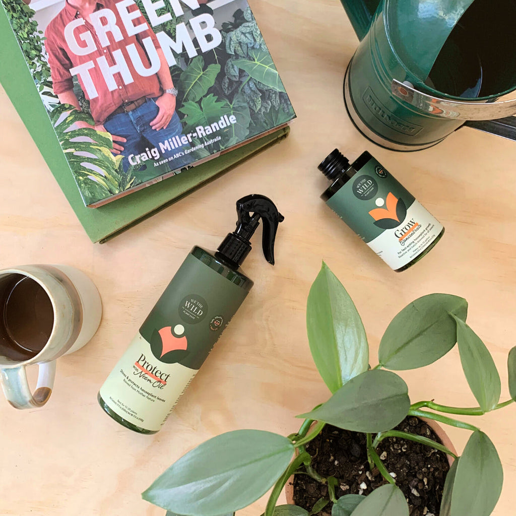 We The Wild "Proud Plant Parent Kit"