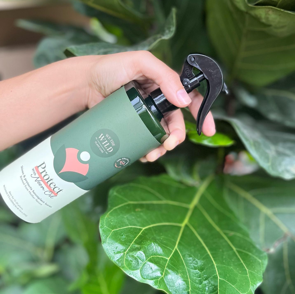 We The Wild "Leaf Care Duo Kit"